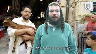 הלכה יומית קורבן פסח