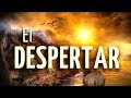 💫Meditación El DESPERTAR de la CONCIENCIA | IDENTIFICA tu DESPERTAR ESPIRITUAL