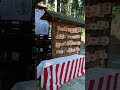 髙靇神社 アマビエ 栃木県 日光 神社 神社巡り 日光大室たかお神社