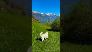 瑞士 坐落在布里恩茨湖（Lake Brienz）岸边。Chalet Du Lac Hotel酒店 #世界美景《世界美景 玖鼎集团推荐9d.vip 或者 9d8.vip》