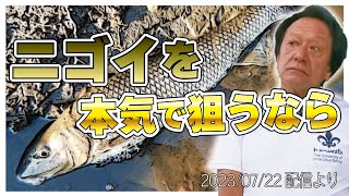 【村田基】[本気でニゴイを狙うなら]このルアーを使います【村田基奇跡の釣り大学切り抜き】 2023/07/22より