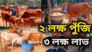 ২ লক্ষ টাকায় খামার করেন, ,নতুন খামারি ভাইদের জন্য।