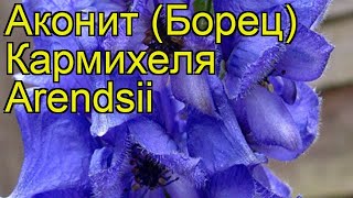 Аконит кармихеля Арендса. Краткий обзор, описание характеристик aconitum carmichaelii Arendsii