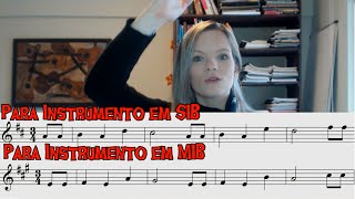 Tudo que você precisa saber sobre INSTRUMENTOS TRANSPOSITORES