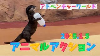 アニマルアクション 2025.1.5  #アドベンチャーワールド #動物パフォーマンス