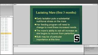 Broodmare Nutrition