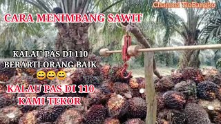 CARA NIMBANG SAWIT YG BENAR ITU, BAGAIMANA???? @Panensawit14