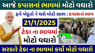 Kapas Na Bhav । 21/1/2025 । કપાસ ના ભાવ : Information about cotton crop price : કપાસનાં ભાવ