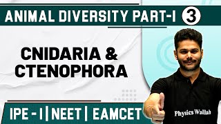 ANIMAL DIVERSITY 03 PART-1 | Cnidaria & Ctenophora | Zoology | Class 11 / NEET / EAMCET