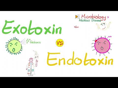 Are Exotoxins heat resistant?