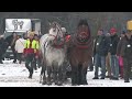 18 ročník zimnej furmanskej súťaže ťažných koní