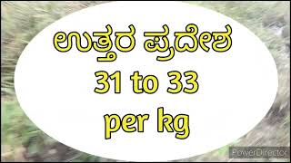 11/01/2025 ರ ಶುಂಠಿ ದರ|Ginger market price in Karnataka|Ginger market price|Ginger farming