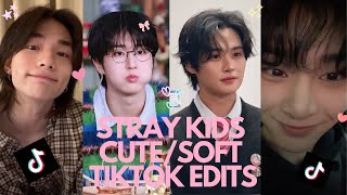 SKZ CUTE/SOFT TIKTOK EDITS TO MAKE YOUR DAY BETTER 🤍☁️