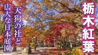 古峯神社と古峯園の紅葉/大量の天狗が出迎える紅葉の名所/2023秋/栃木観光旅行vlog