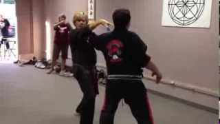 DMA: Larry Tatum Teaching a Technique - Snapping Twig - Kenpo Karate #blenheimontario