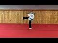 shorinji ryu kata seisan