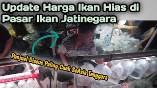 Update Terbaru Harga Ikan Hias di Jatinegara