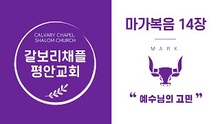 [갈보리채플 평안교회] 마가복음 14장 “예수님의 고민” 241201