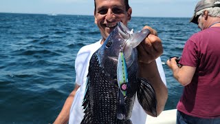 BLACK SEA BASS!! The Season Has Begun!