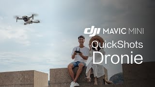 Mavic Mini | How To Perform A \