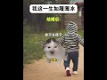 我这一生如履薄冰 有趣 故事 貓 猫猫meme小剧场 猫meme 内容过于真实 猫meme小剧场 猫meme剧场 喵不可言 shorts