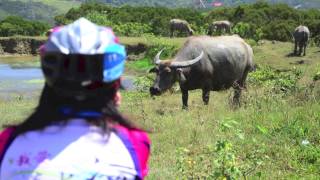 捷安特旅行社單車旅遊＿明緯墾丁單車之旅_2014.05.24-05.26