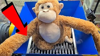 SHREDDER VS Monkey (Compilation)