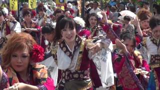 銭形よさこい2016＿月下桜舞連