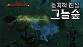 [퀘스토리] 우리가 몰랐던 아제로스 - 그늘숲의 소름 돋는 진실