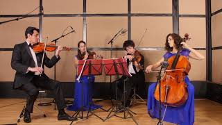 Largo from Winter (Vivaldi) String Quartet Wedding Music