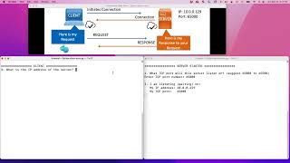 Python 1: Simple Client-Server (IP and Port Number)