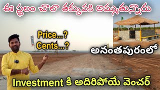 ఈ స్థలం చాలా తక్కువకి అమ్ముతున్నారు | Property for sale in anantapur | Jabardasthvlogs anantapur