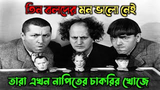 তিন বলদের আজকে মন ভালো নেই 😂 | Three stooges bangla dubbing | Little fun entertainment