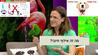 רוצים לעבוד עם בעלי חיים? הקורסים נפתחים | אפרת סימון אילוף חיובי והומאני