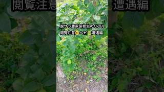 脱サラ農家研修生のリアル　ヘビなんか怖くないもん編