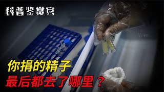 什麼是捐精？多地人類精子庫號召大學生捐精，精子最後去了哪裡？