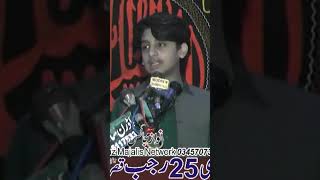 zakir syed shabih ul hassan shamsi shorts #youtubeshort #islamicvideos #nawazmajalis