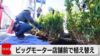 ビッグモーター店舗前で東京都が植木の植え替えなど原状回復工事を実施（2024年1月15日）