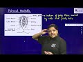 female reproductive system u0026 oogenesis explained diagrams u0026 concepts by anuska sen