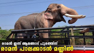 രാമൻ ഇന്ന് പാലക്കാടൻ മണ്ണിൽ 🔥😎 | Thechikottukavu Ramachandran Alangad Pooram |  Raman Today Prgm