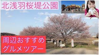 北浅羽桜堤公園からのオススメスポットと坂戸グルメツアー❤️2021/3/16