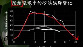 10501基礎生物ch6 1 07閉鎖環境中的族群成長曲線二簡 3