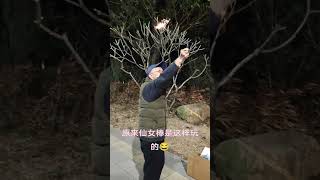 原来仙女棒是这样玩的😂 愿人间皆安  仙女棒 烟花 过年就是一瞬间的幸福感 央视蛇年春晚