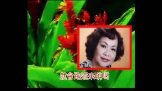 敖包相会 - 张爱玲与张昌木合唱