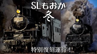 真岡鐵道 SLもおか C1266特別復刻運行 ! 製造90年記念 一期一会No.89 蒸気機関車