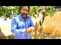 👍వీడు దొంగ మొగుడే 🤣 telugu comedy web series african comedy indian comedy ap u0026tg comedy👍