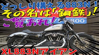 ■シイナモータース市川店　絶版館■ハーレーダビットソン　XL883Nアイアン　40798　シルバー　バンス＆ハインズマフラー　スモークスクリーン