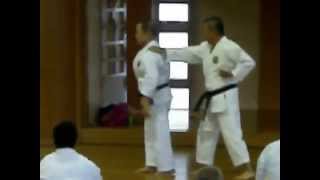 Matsubayashi Ryu - Soke Takayoshi Nagamine Yakusoku Kumite - Okinawa Seminar 2010