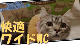 【Vlog】またもや我が家の大型猫ラガマフィンのトイレ買いました