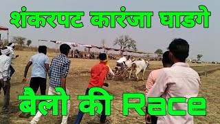 शंकरपट कारंजा घाडगे | Bailo Ki Race Karanja Ghadge | Bhavya Shetkari Shankarpat Karanja Ghadge |